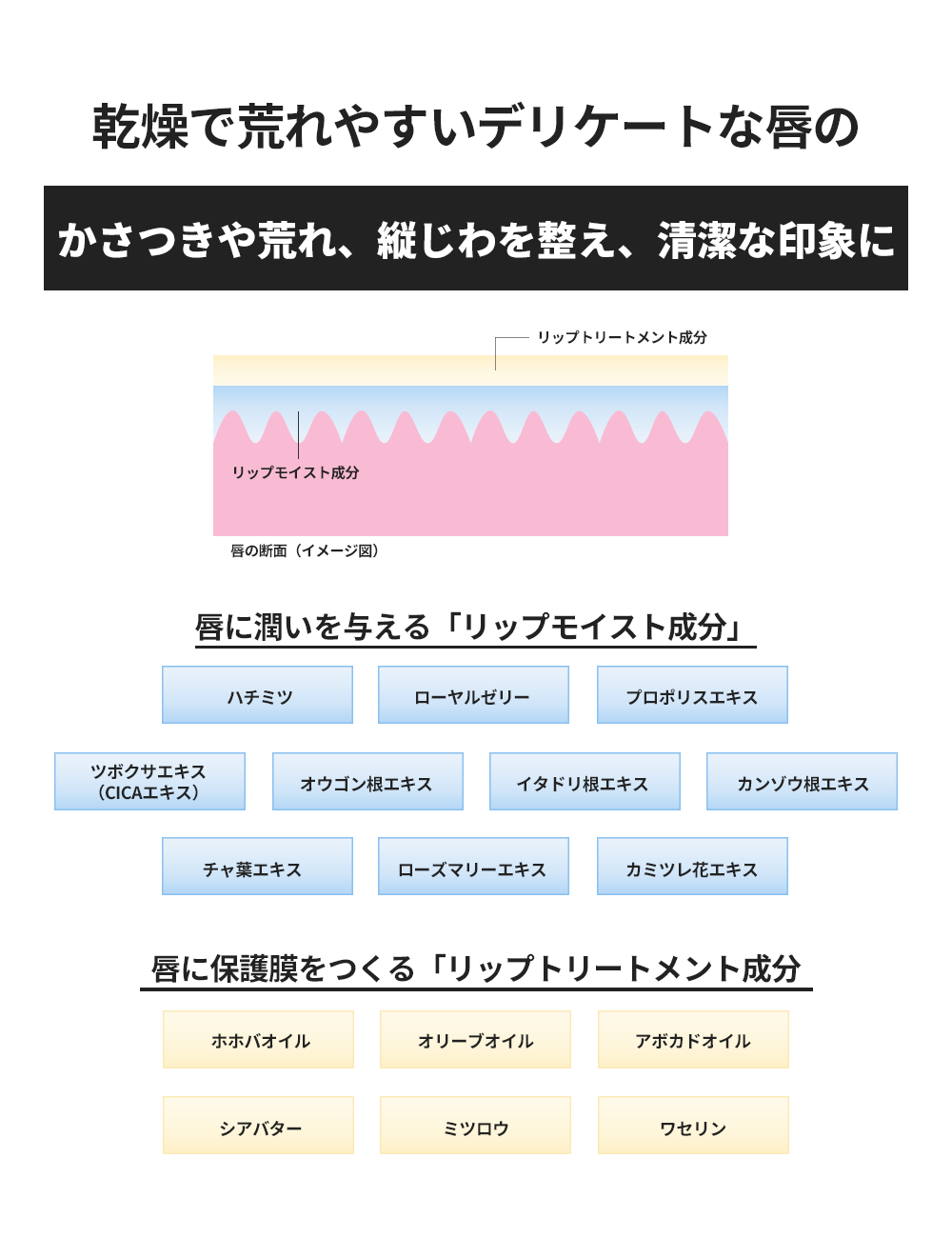 MULC モイスチャーカラーリップ - MULCオンラインショップ